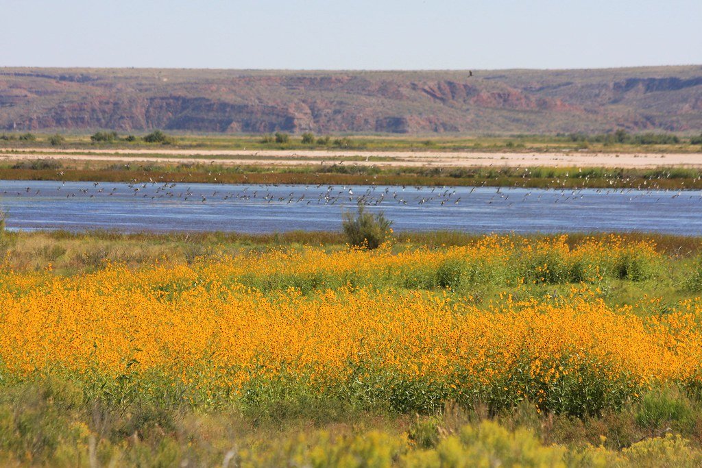 Bitter Lake NWR